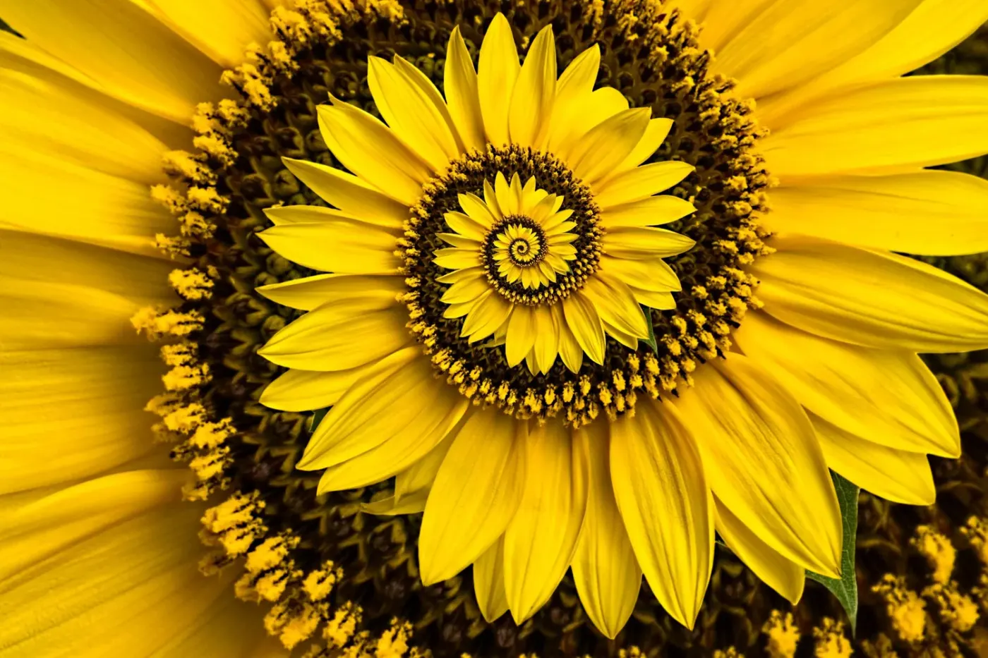 Welcome to the April–May Women’s Issue: Honoring Women, Mothers, and Mother Earth