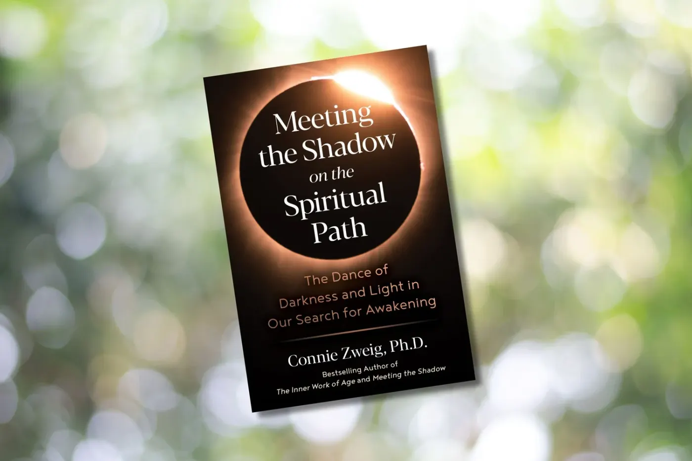 Meeting the Shadow on the Spiritual Path: The Dance of Darkness and Light in Our Search for Awakening