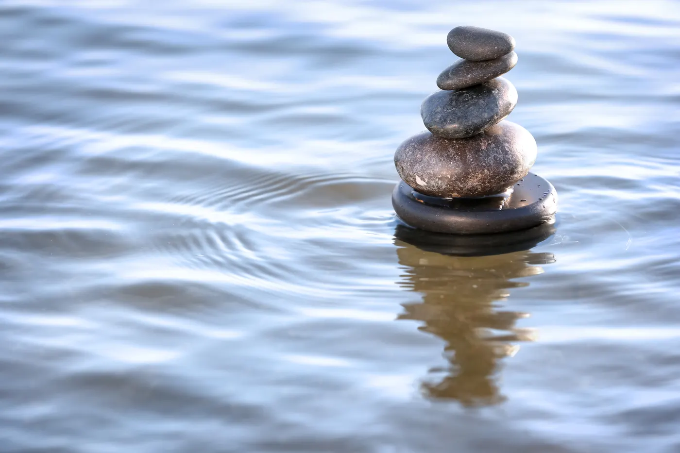Mindful Investing:Right Focus, Better Outcome, Greater Well-Being
