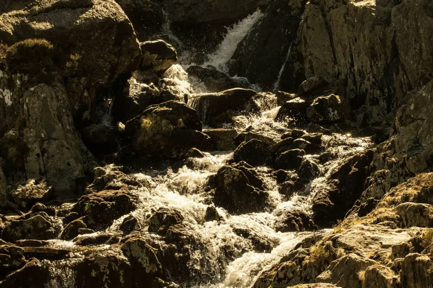 Wellspring Within