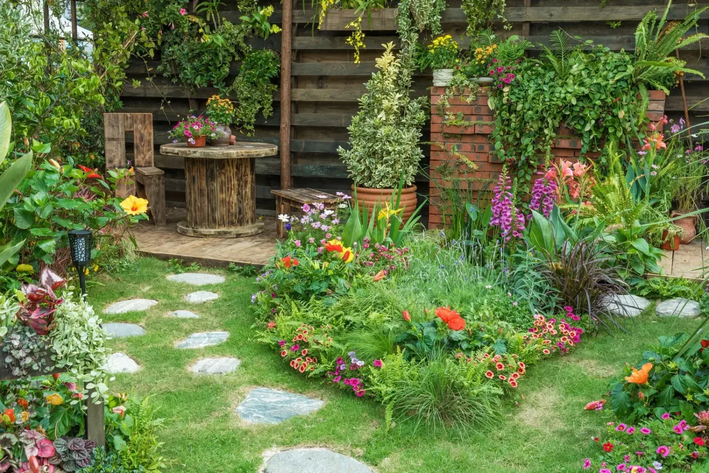 The Soil in Jackie’s Garden