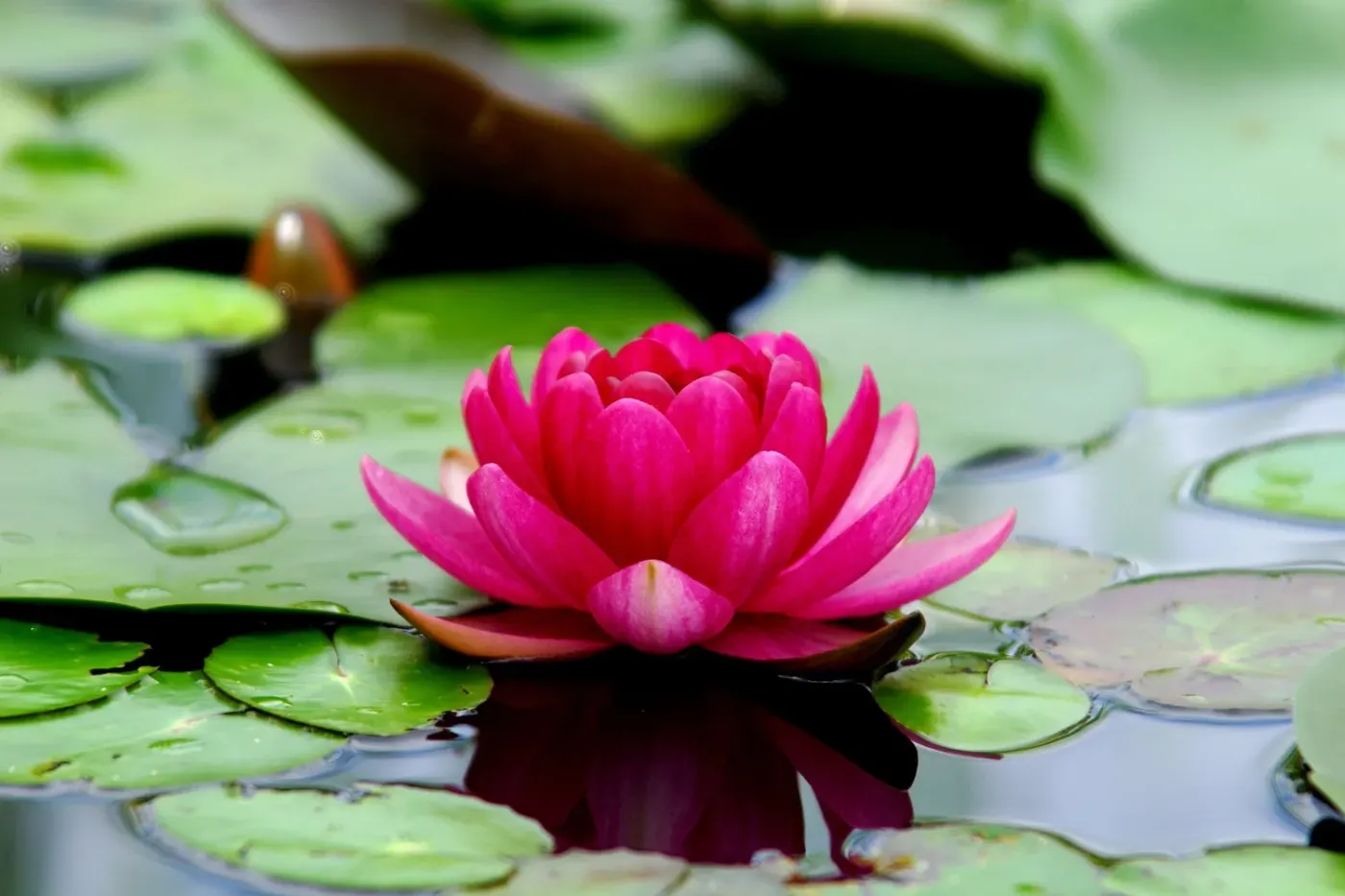Keeping Our Appointment With Love—If It's Real Love, It Cannot Harm