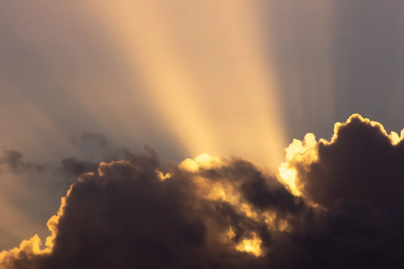 The Mystic Jesus: Available to Everyone