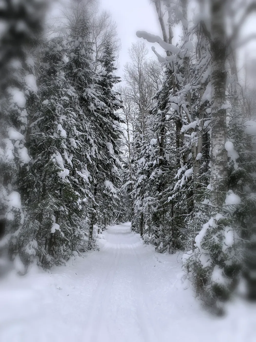 Creating New Traditions:  How to Foster a Holistic Approach to Holiday Well-being