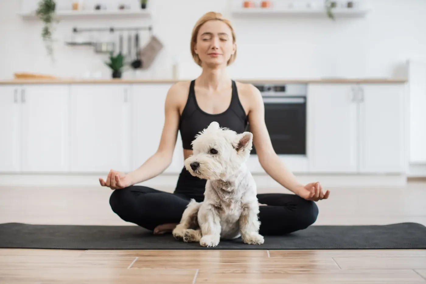 Embracing a Spiritual and Holistic Lifestyle with Your Pets