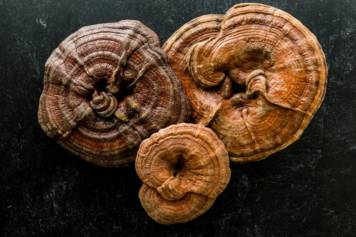 The Benefits of Adaptogens: Nature’s Stress Relievers