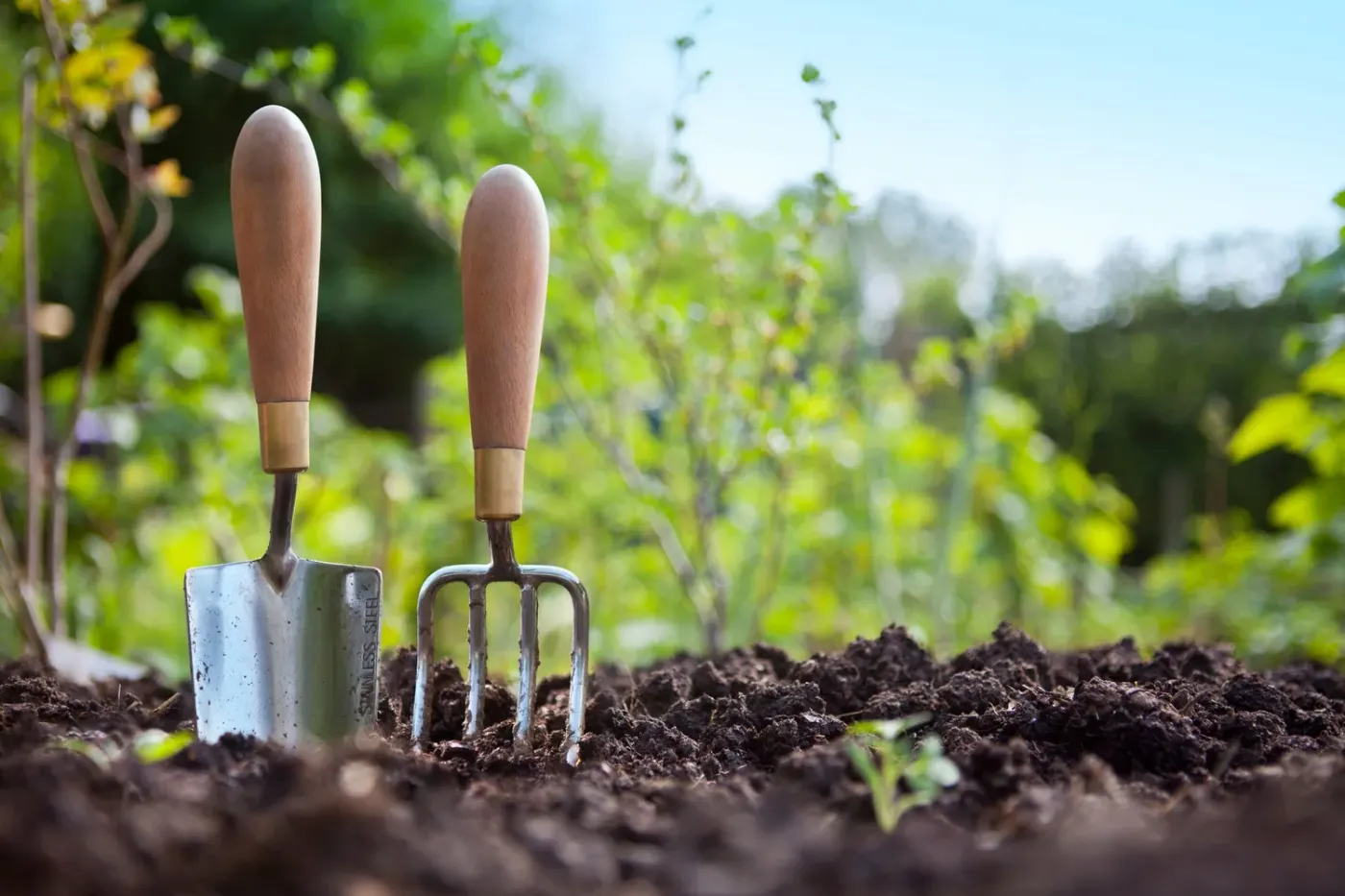 Get Into Gardening!
