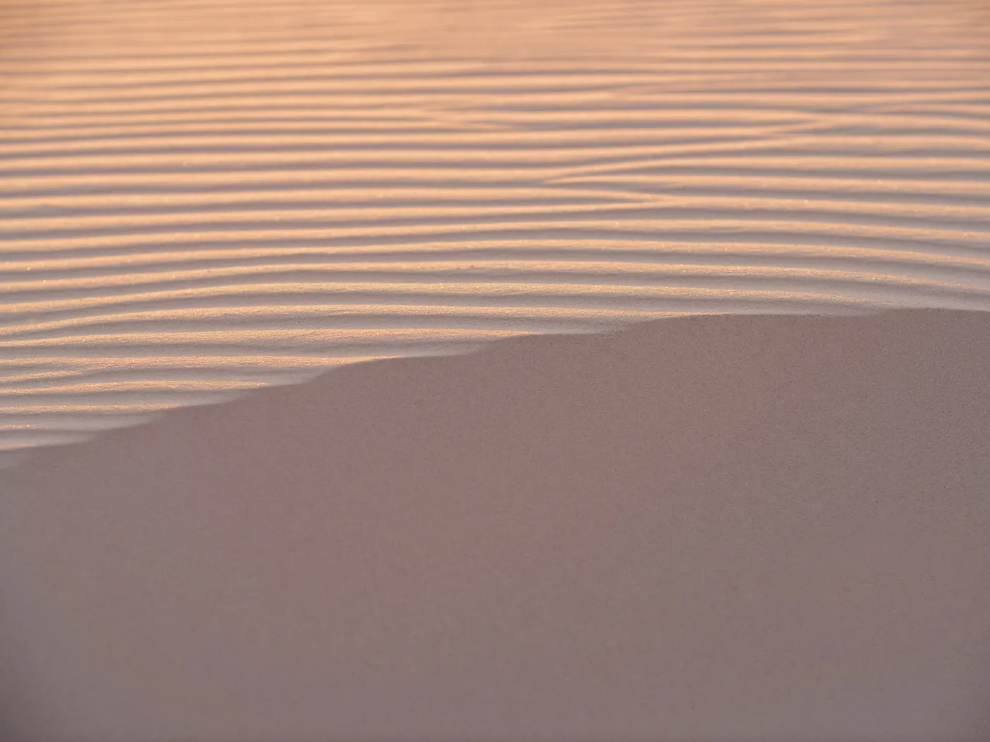 Grain by Silent Grain