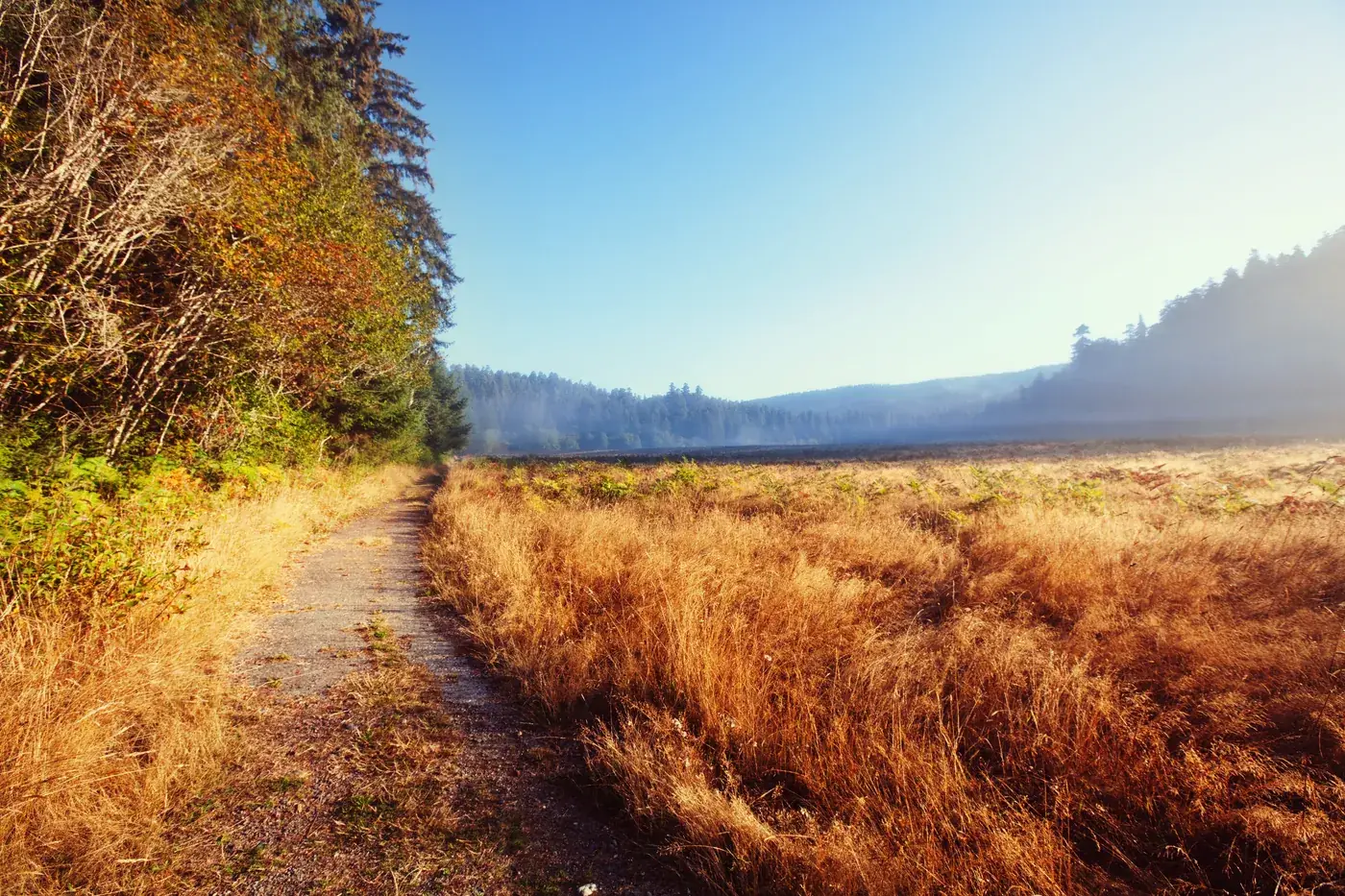 November, The Month of Gratitude