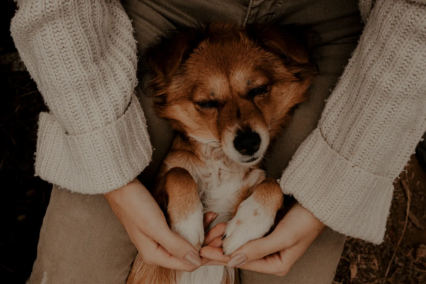 PATRICIA BONO - HELPING PEOPLE AND ANIMALS