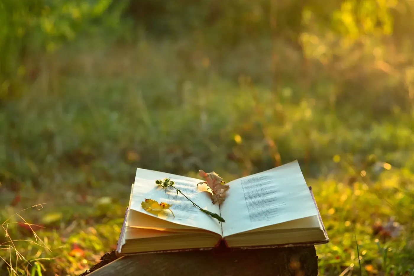 Poetry as Prayer: Connecting to the Divine Through Verse
