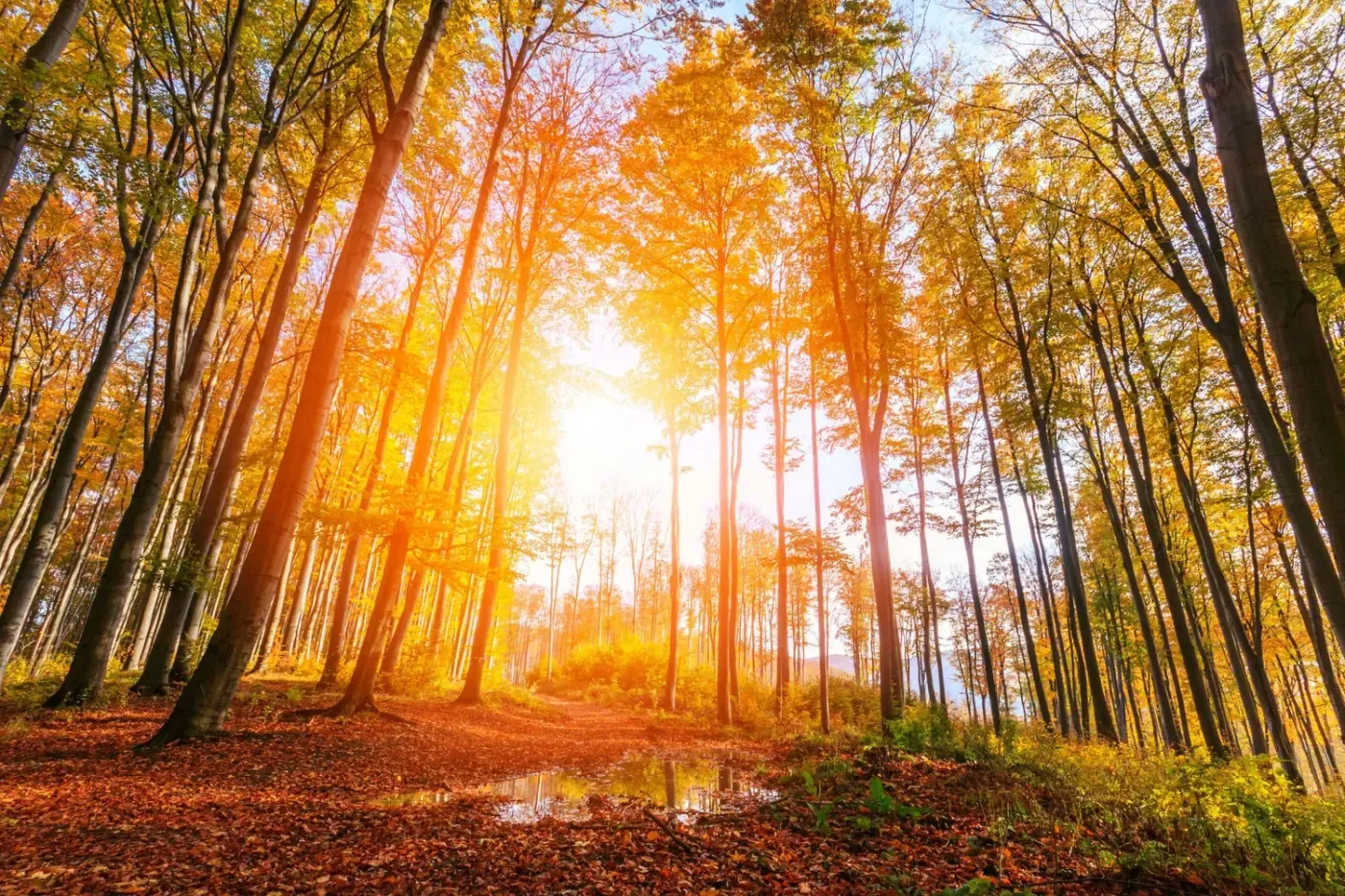 Quotes for all Seasons
