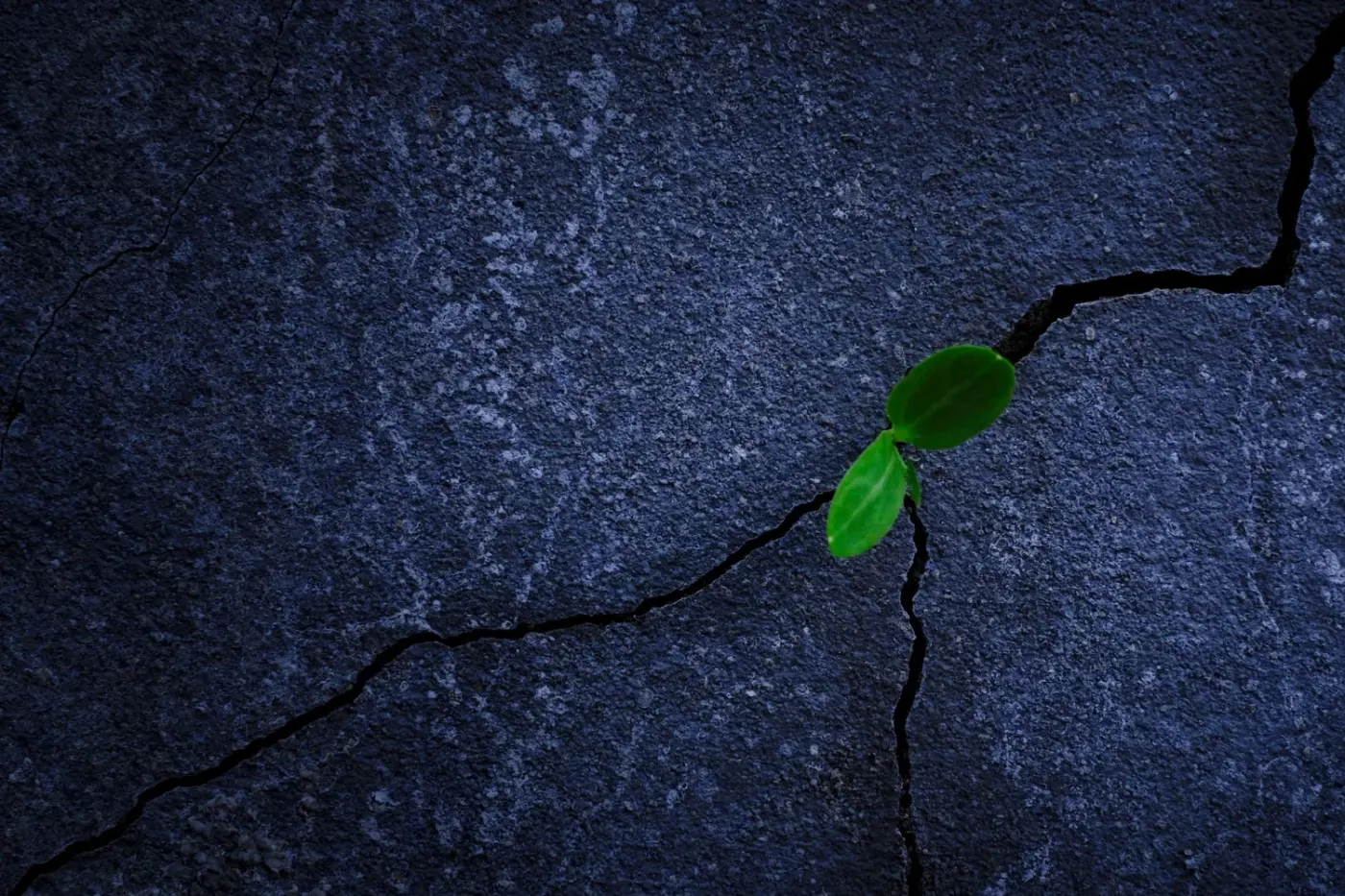 Reframing Failure: Turning Setbacks into Stepping Stones