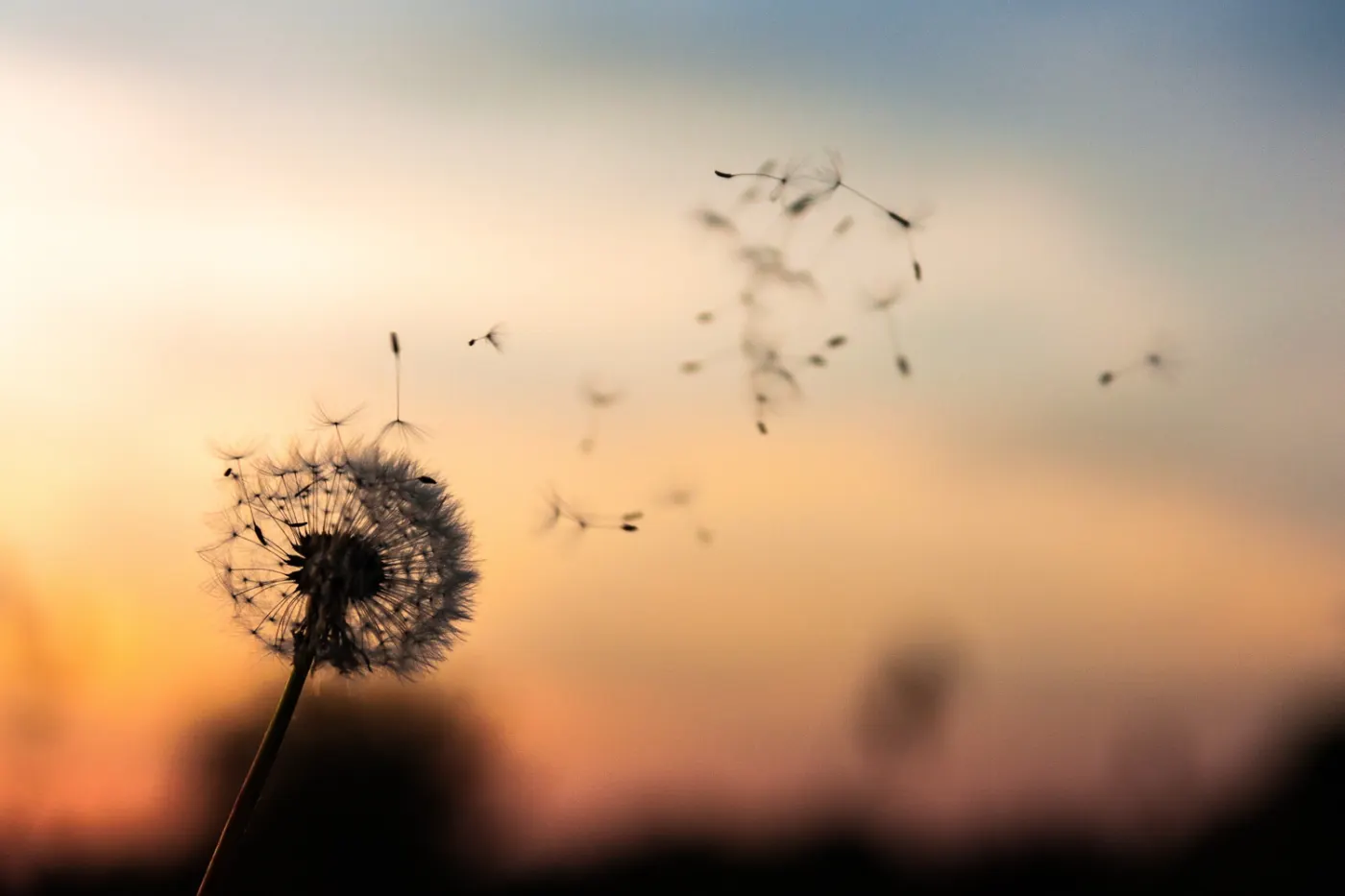 The Art of Letting Go: Releasing What No Longer Serves You for a Lighter Year Ahead