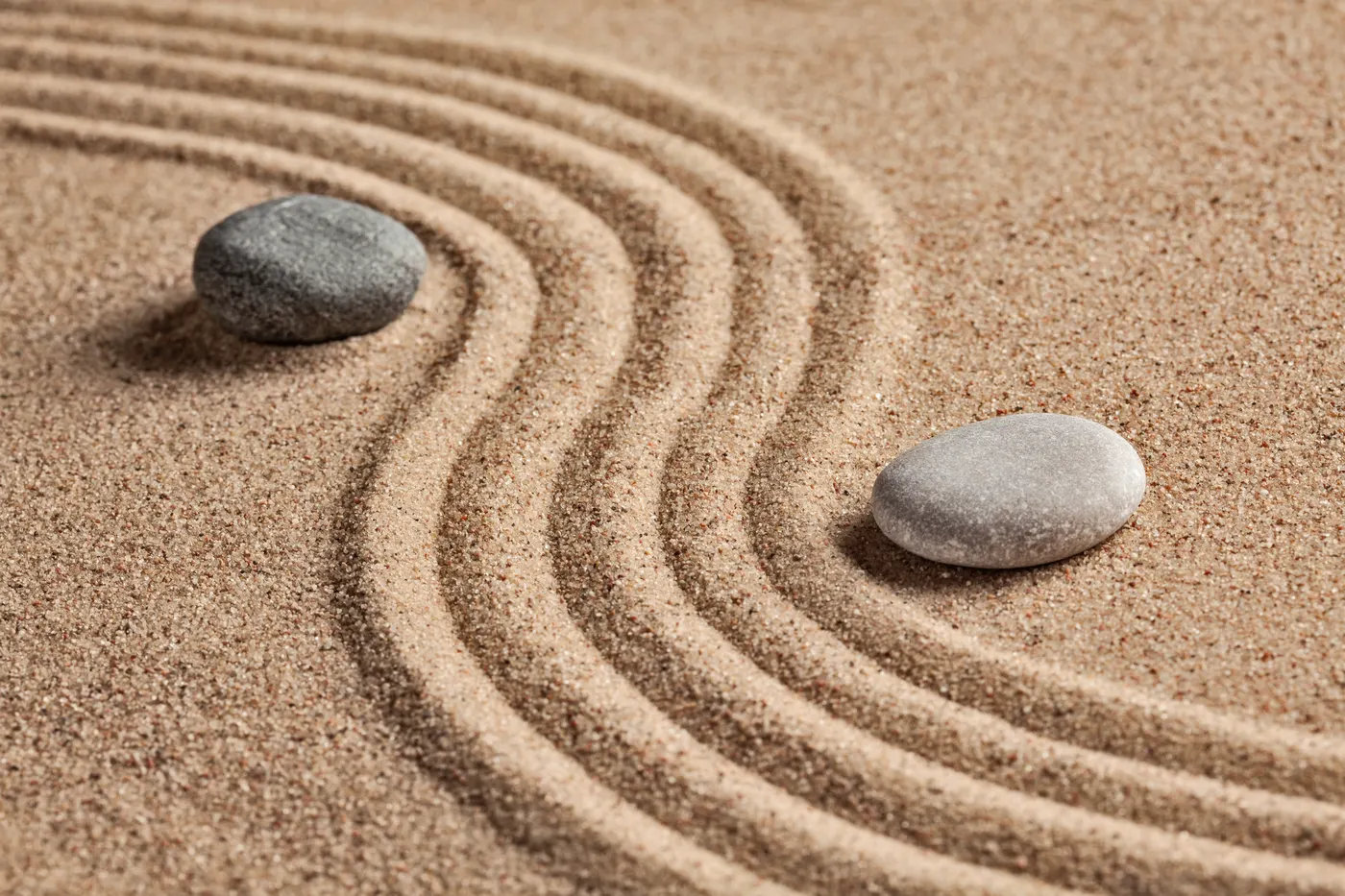 Zen Mind